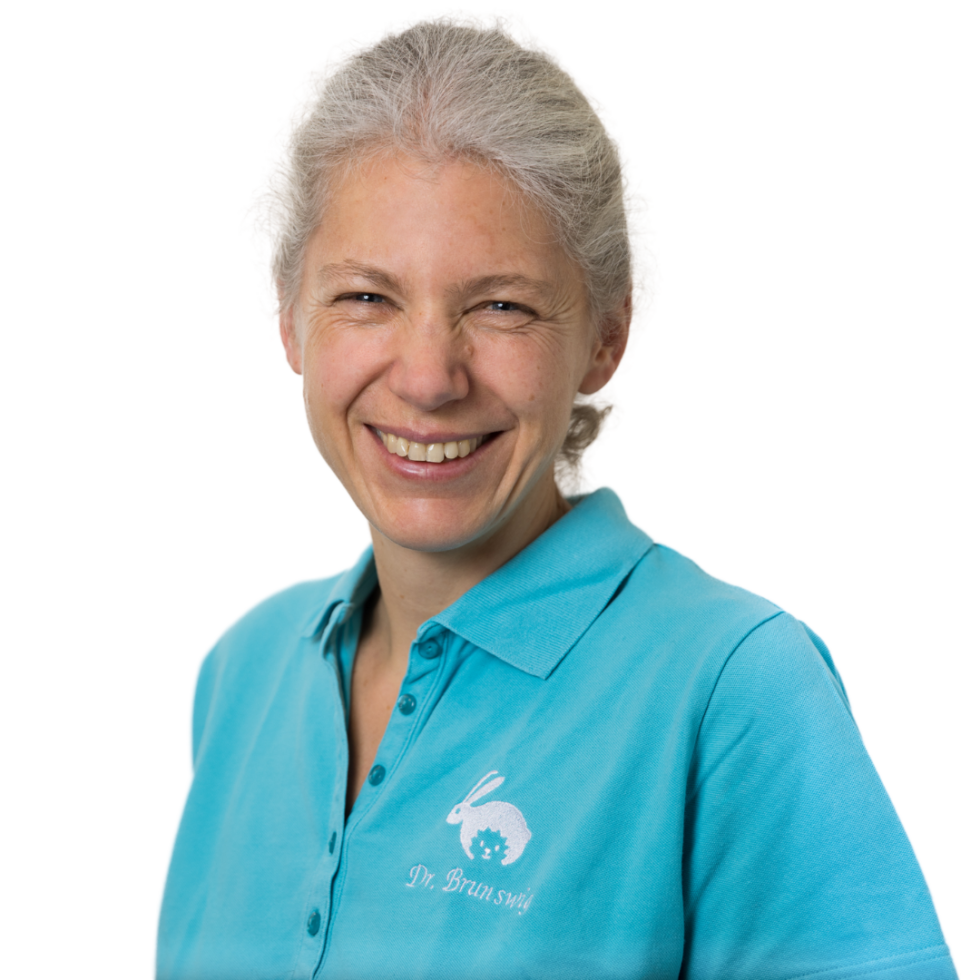 Kinderarztpraxis Goslar Philin Klose-gerlich Und Gerald Gerent Team - Kinderarztpraxis Has & Igel